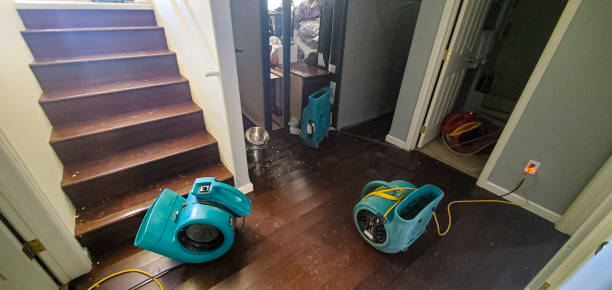 Best Water damage cleanup near me  in Walton Park, NY