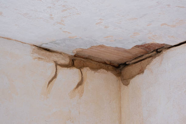 Best Flood damage cleanup  in Walton Park, NY