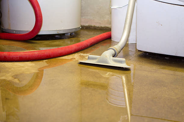 Best Water damage repair service  in Walton Park, NY