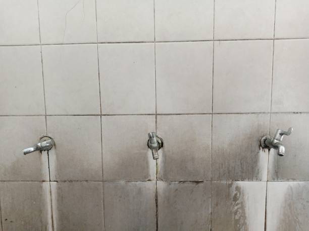 Best Water damage restoration near me  in Walton Park, NY